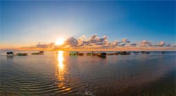Phu Quoc Fish Sauce - The island's signature flavor