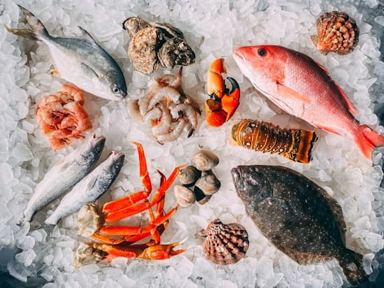 Premium seafood selection