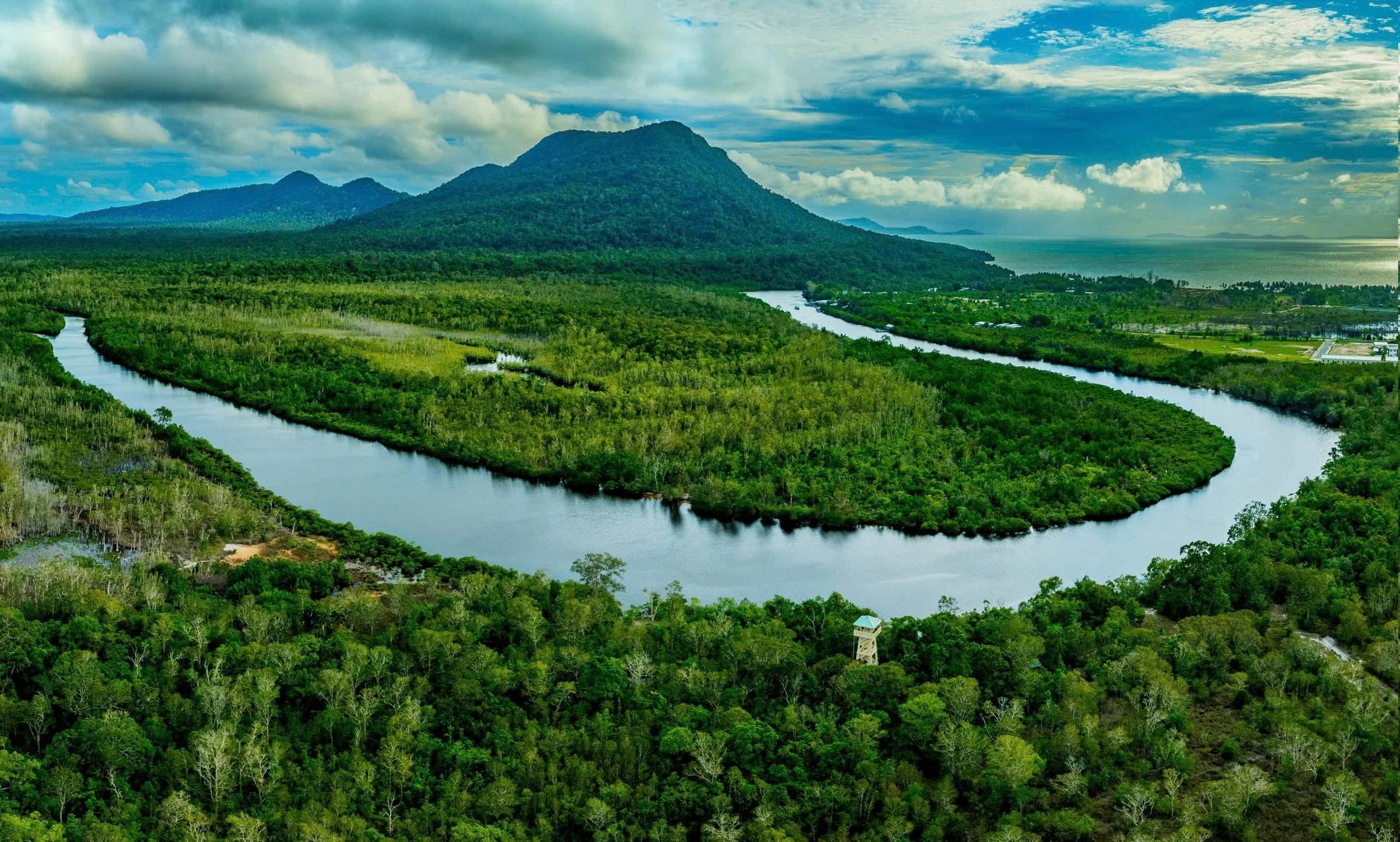 River winding through forest towards the coast
