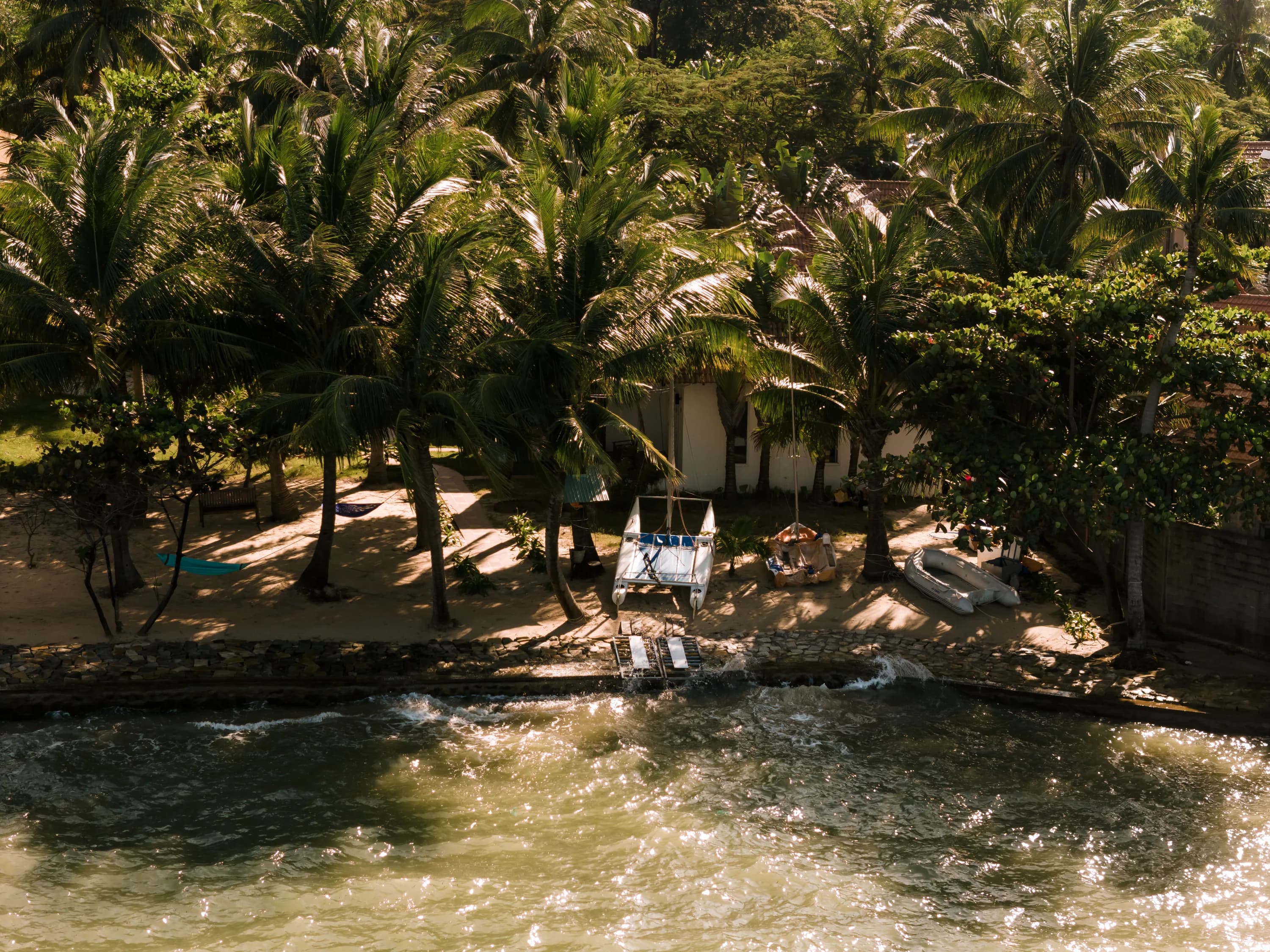 Small boats beneath coconut palms on the Ganh Dau waterfront