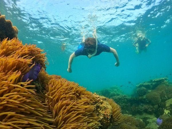 Top Phu Quoc Tours You Can’t Miss: Island Hopping, Snorkeling & More