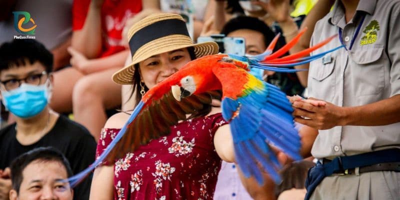 A parrot flying close to visitors during an animal show at Safari Phu Quoc