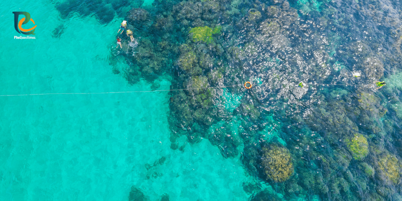 Tourists snorkel in May Rut Trong with crystal clear water and coral reels