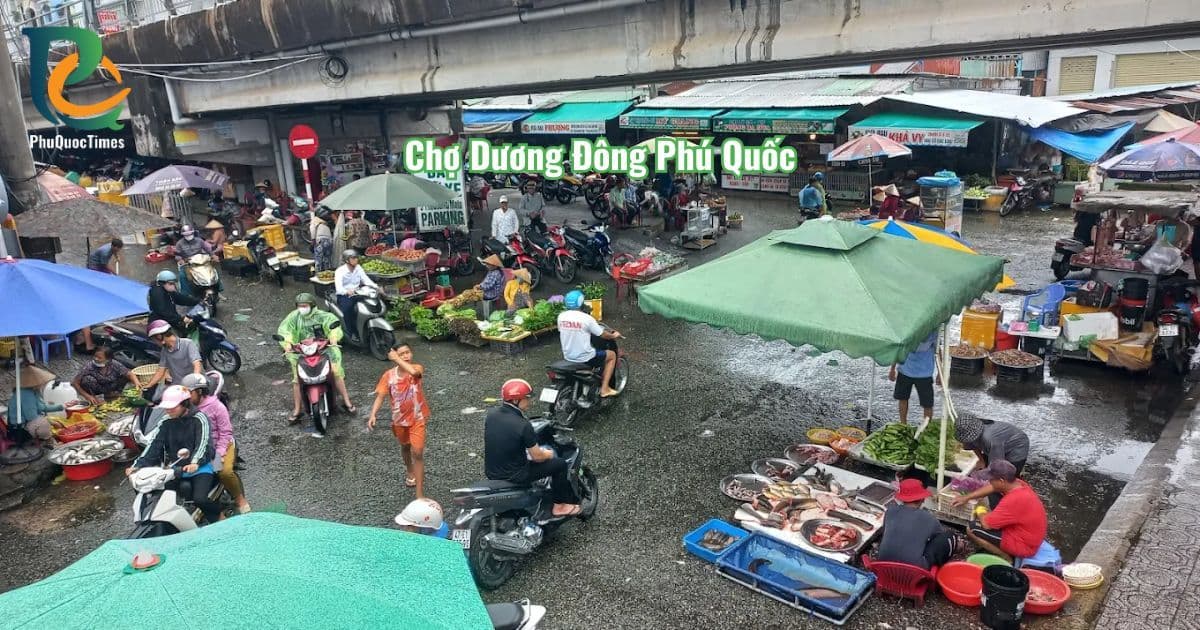 Đường vào chợ Dương Đông Phú Quốc
