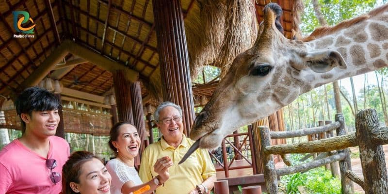 Visitors feed a giraffe in Phu Quoc Safari