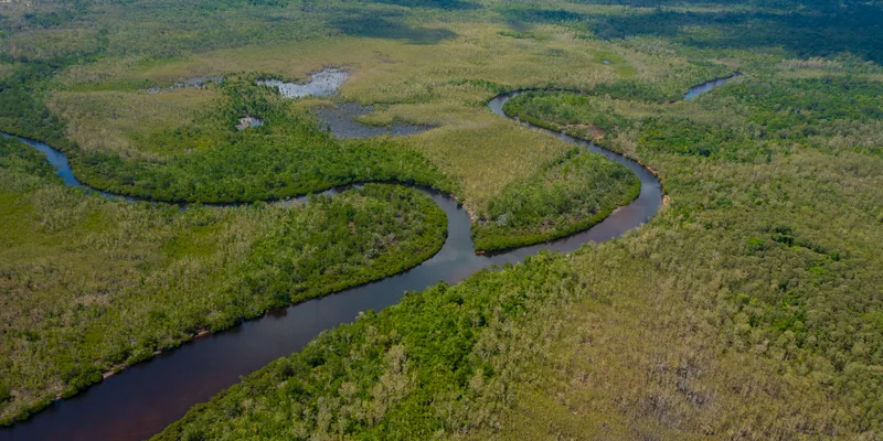 Aerial view of winding Rach Tram River channels through mangroves and woodland